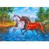 Mona Lisa diamond painting 40x30cm: 2 paarden 