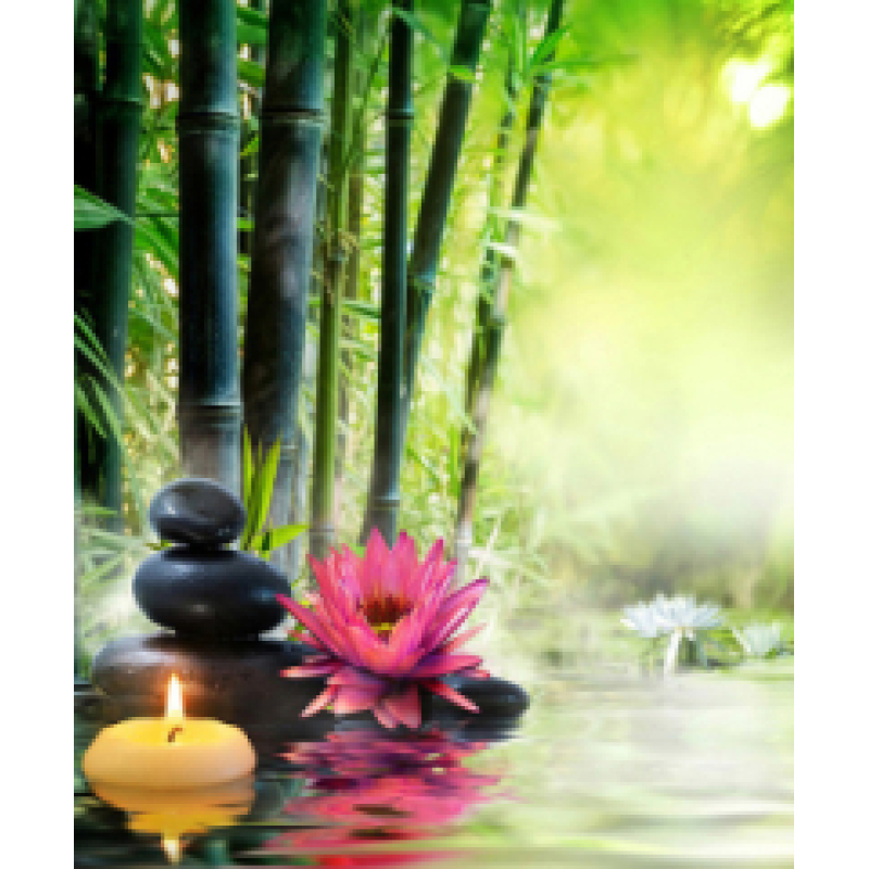 Mona Lisa diamond painting 40x30cm: lake met lotusbloemen