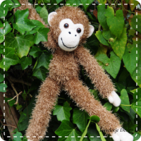 Haakpakket Slingeraap