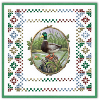 Sparkles Set 115 - Amy Design - Forest Animals