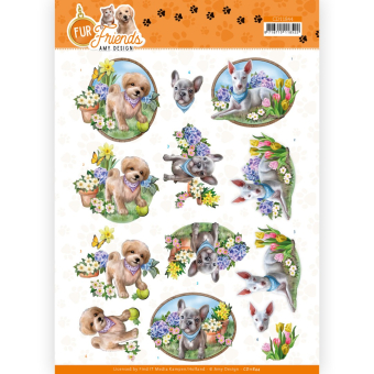 Pakket voor 6 3D kaarten met thema honden