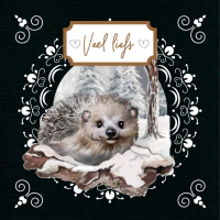 Dot and Do on Colour 29 ( Sturdy winter)