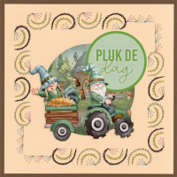 Stitch and Do on Colour 014 - Yvonne Creations - Graceful Flowers