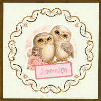 Stitch and do on Colour 039 - Owlways Yours