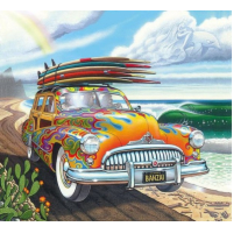 Mona Lisa diamond painting 50x40cm: auto met surfplanken