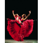 Mona Lisa diamond painting 50x40cm: dansers