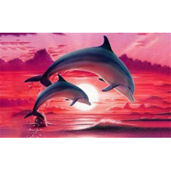 Mona Lisa diamond painting 30x20cm: dolfijnen 