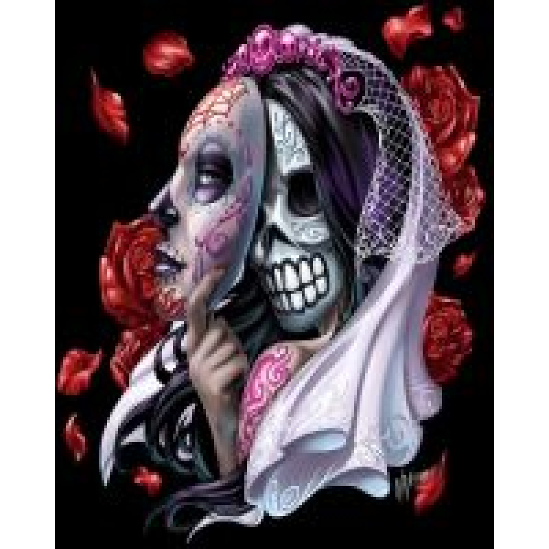 Diamond painting canvas 50x40cm, painting 45x35cm: Skull