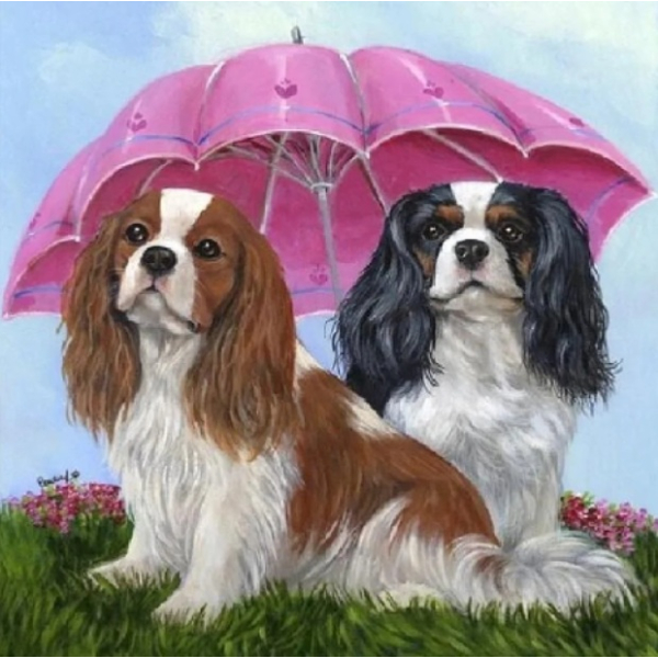 Diamond painting kit 25x15cm: honden onder paraplu