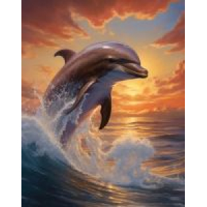 Diamond painting kit 25x15cm: dolfijn