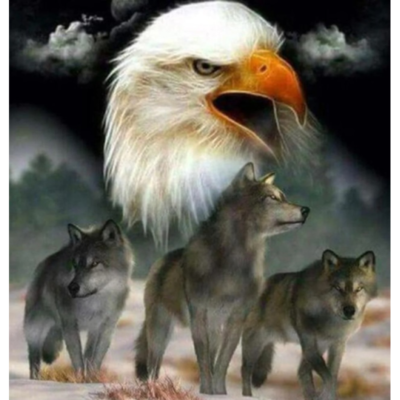 Damond painting canvas 40x30cm, painting 35x25cm: Arend