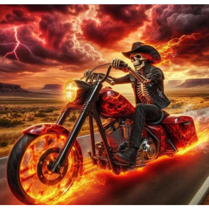 Damond painting canvas 40x30cm, painting 35x25cm: Biker