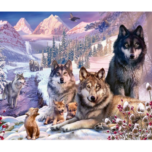 Diamond painting canvas 50x40cm, painting: 45x35cm Wolven