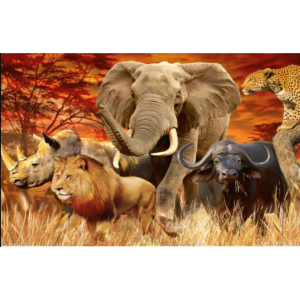 Damond painting canvas 50x40cm, painting 45x35cm Dieren