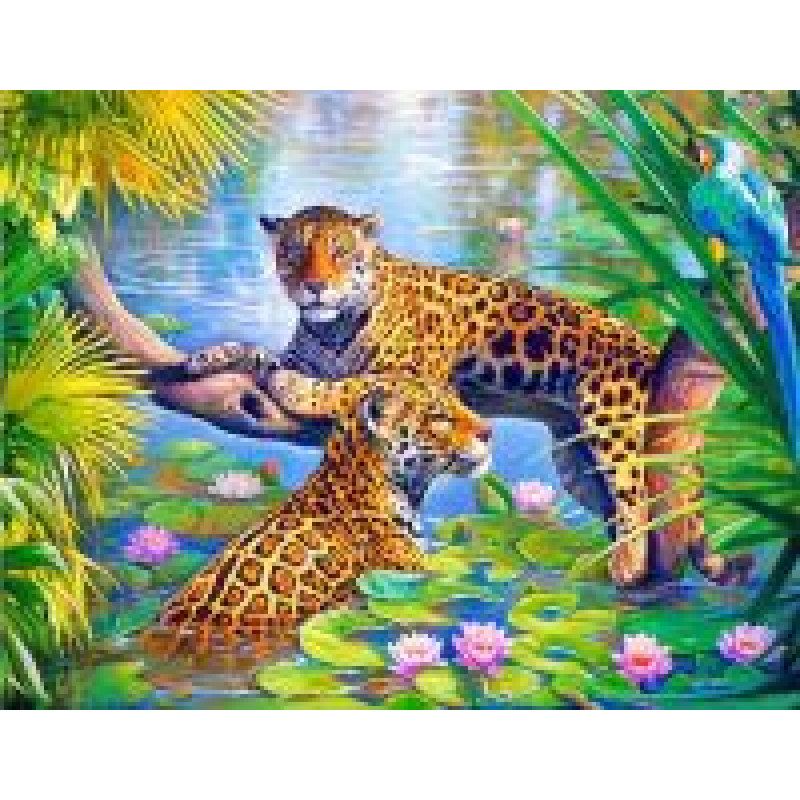 Diamond painting canvas 50x40cm, painting 45x35cm: Tijgers