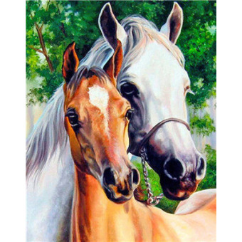 Hi Stone Diamond painting pakket 50x40 (43.5 x 32.5cm ): 2 paardenhoofden