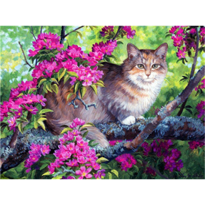 Hi Stone Diamond painting pakket 50x40 (43.5 x 32.5cm): Kat met roze bloemen