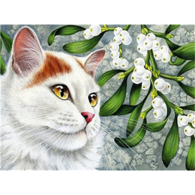 Hi Stone Diamond painting pakket 50x40 (43.5 x 32.5cm): Kat met witte bloemen