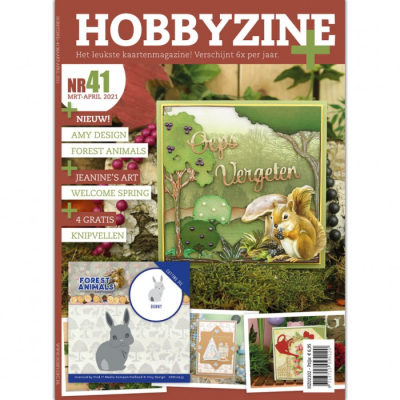 Hobbyzine plus nr 41 met gratis die