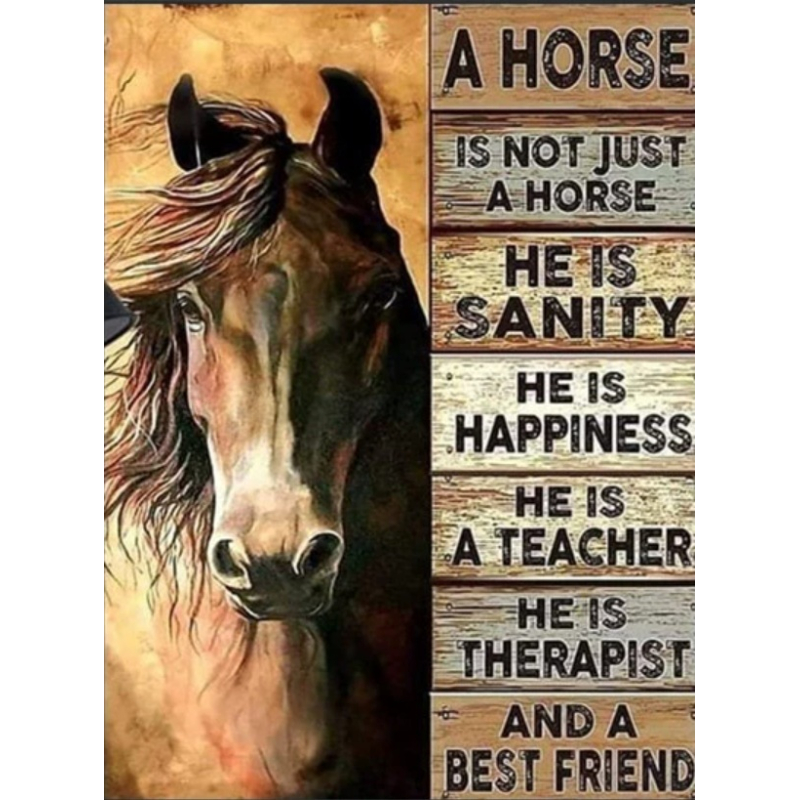 Diamond painting canvas 50x40cm, painting 45x35cm: Paard