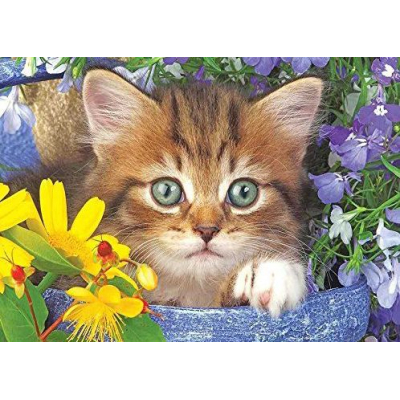 Diamond painting kit 25x15cm: kat