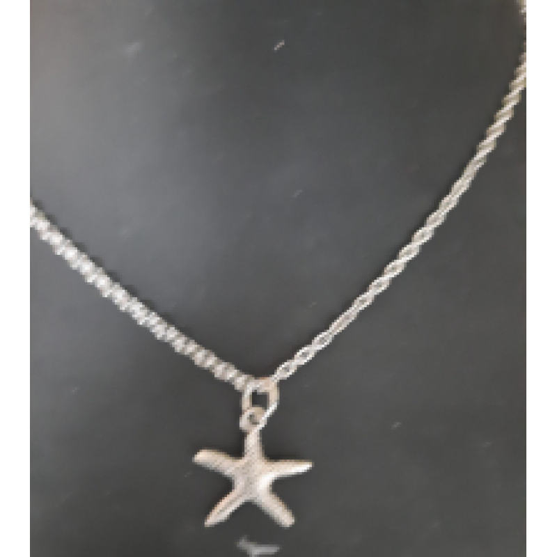 Ketting met hanger: zeester