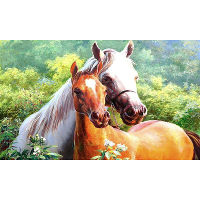 Diamond painting kit 25x15cm: 2 paarden