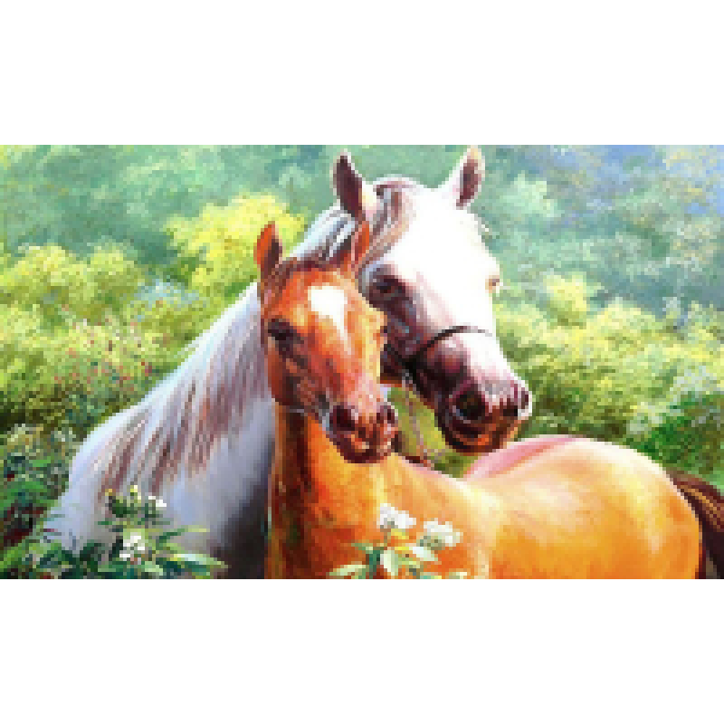 Diamond painting kit 25x15cm: 2 paarden