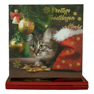 World of Craft - Set van 8 Kerstkaarten en Enveloppen met Nederlandse teksten Box 1