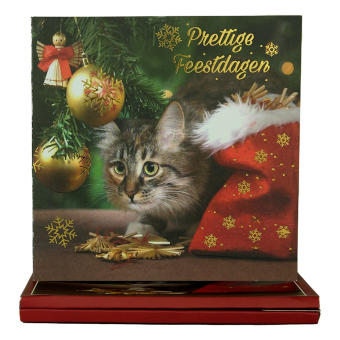 World of Craft - Set van 8 Kerstkaarten en Enveloppen met Nederlandse teksten Box 1