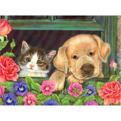 Hi Stone Diamond painting pakket 50x40 (43.5 x 32.5cm): Kitten en puppy