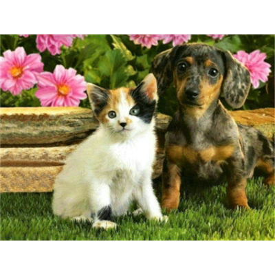 Hi Stone Diamond painting pakket 50x40 (43.5 x 32.5cm): Puppy en kitten