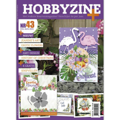 Hobbyzine plus nr 43 met gratis die